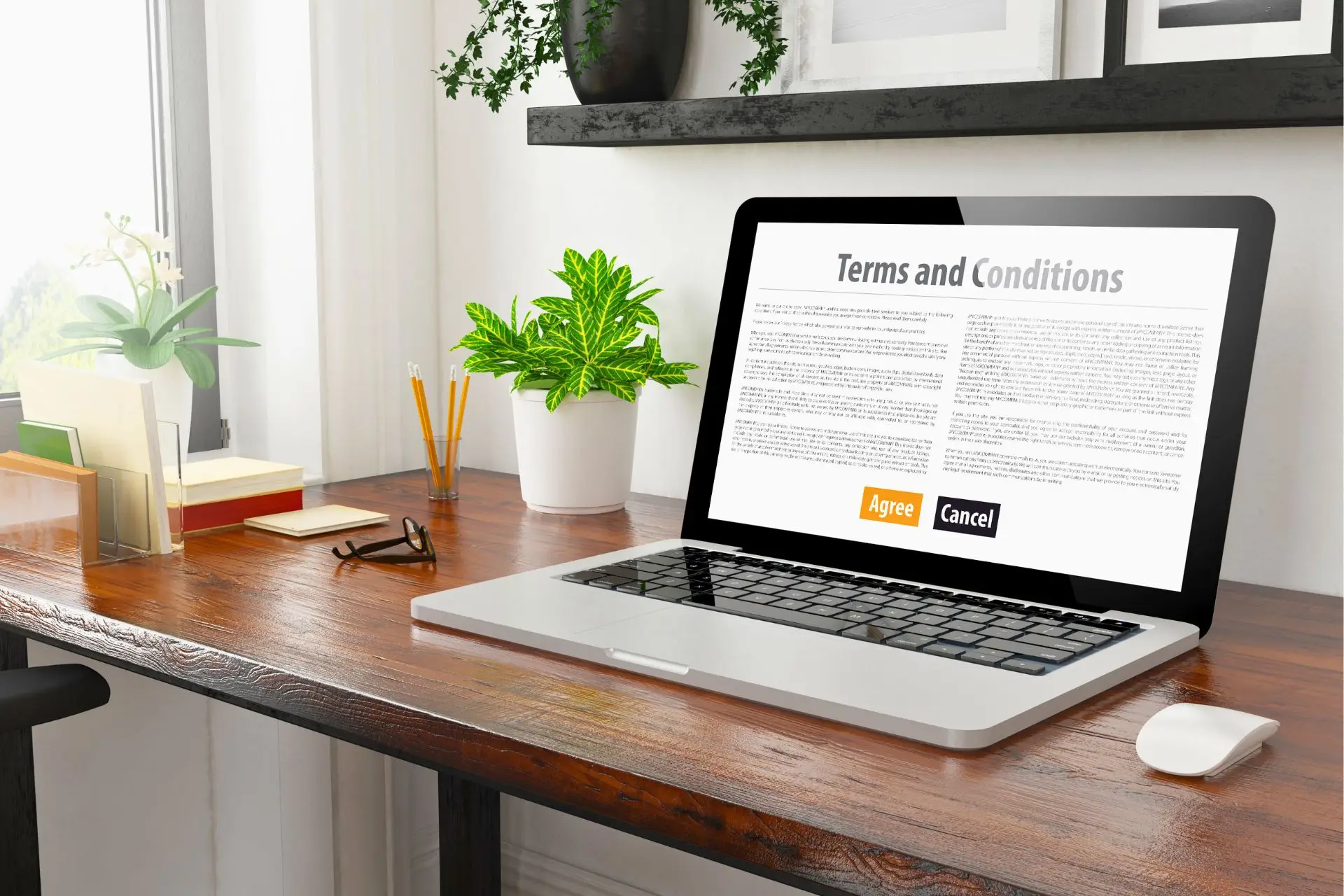 website terms and conditions australia shown on laptop with user agreement options